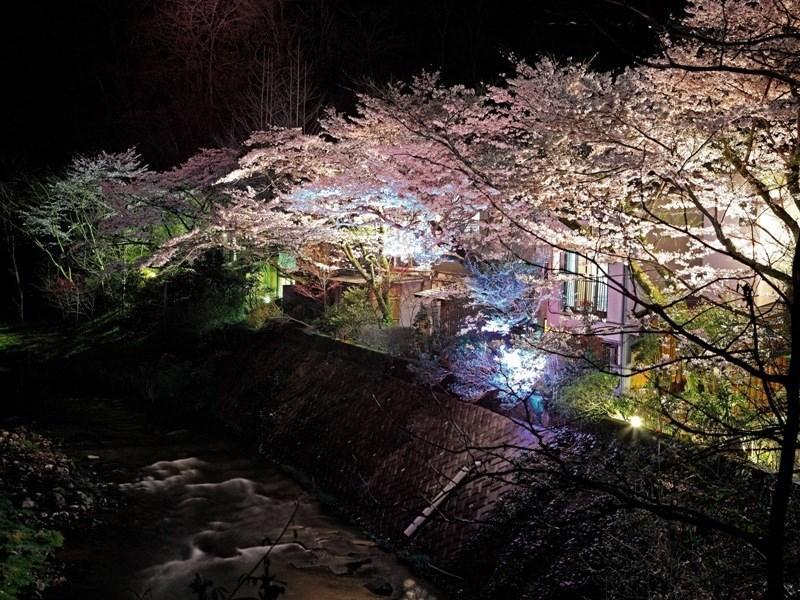 Motoyu Ryokan Atsugi Exterior foto